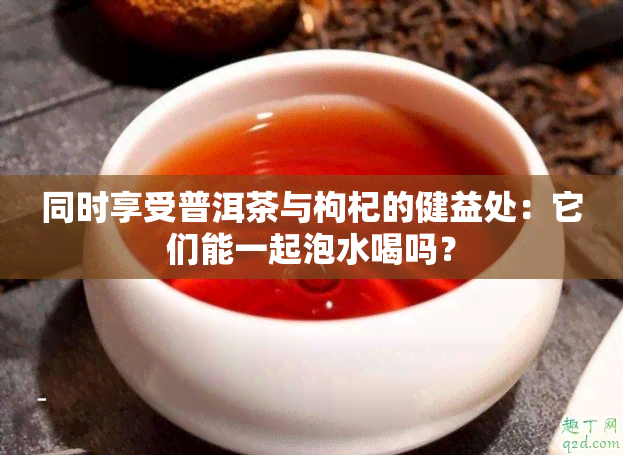 同时享受普洱茶与枸杞的健益处：它们能一起泡水喝吗？