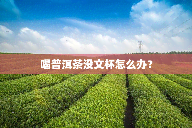 喝普洱茶没文杯怎么办？