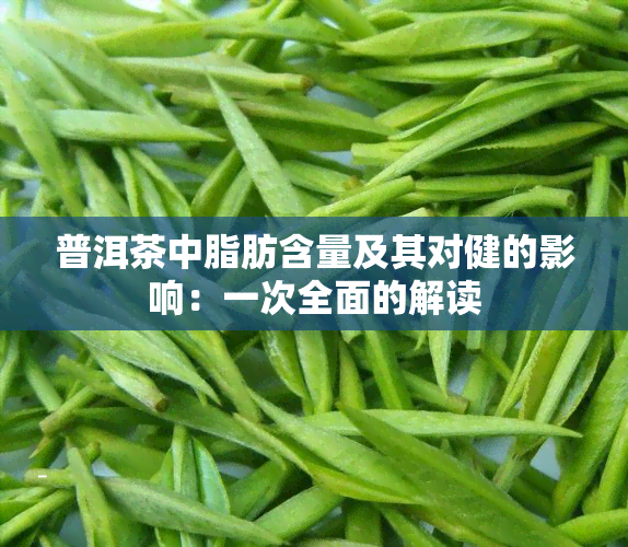 普洱茶中脂肪含量及其对健的影响：一次全面的解读