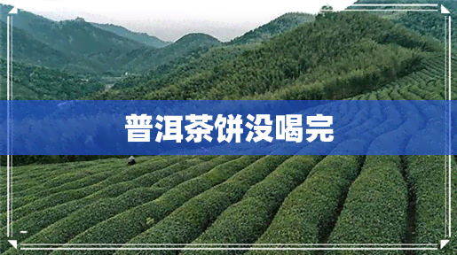 普洱茶饼没喝完