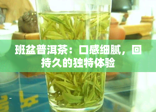 班盆普洱茶：口感细腻，回持久的独特体验