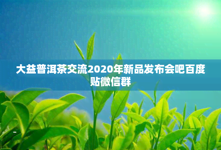 大益普洱茶交流2020年新品发布会吧百度贴微信群