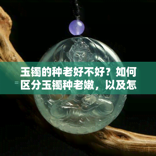 玉镯的种老好不好？如何区分玉镯种老嫩，以及怎样保养玉镯种嫩？