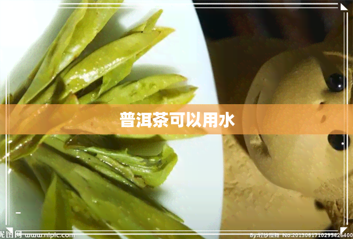 普洱茶可以用水