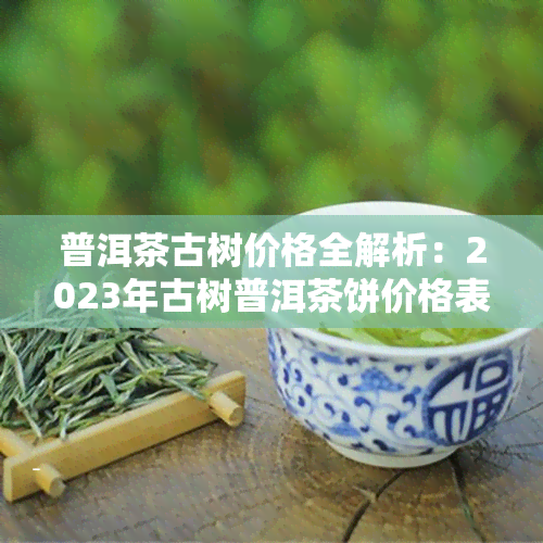 普洱茶古树价格全解析：2023年古树普洱茶饼价格表