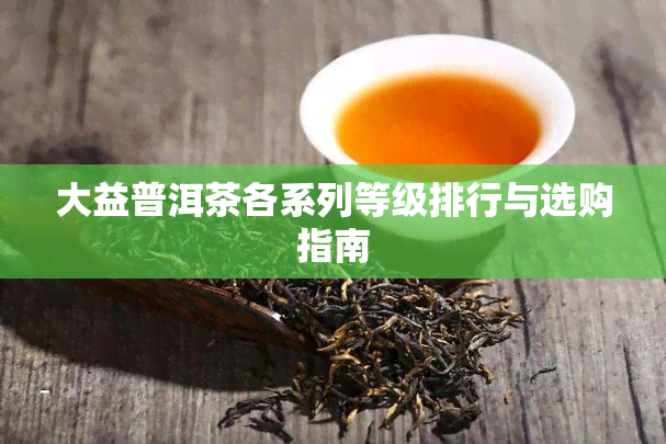 大益普洱茶各系列等级排行与选购指南