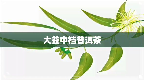 大益中档普洱茶