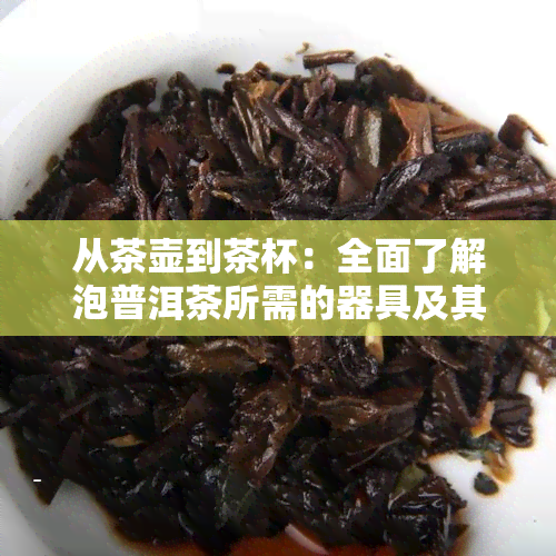 从茶壶到茶杯：全面了解泡普洱茶所需的器具及其使用方法