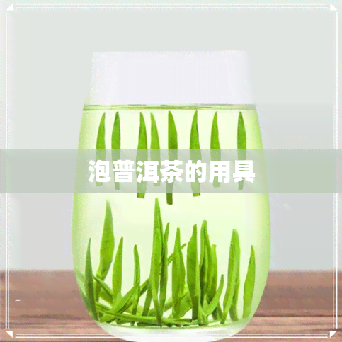 泡普洱茶的用具