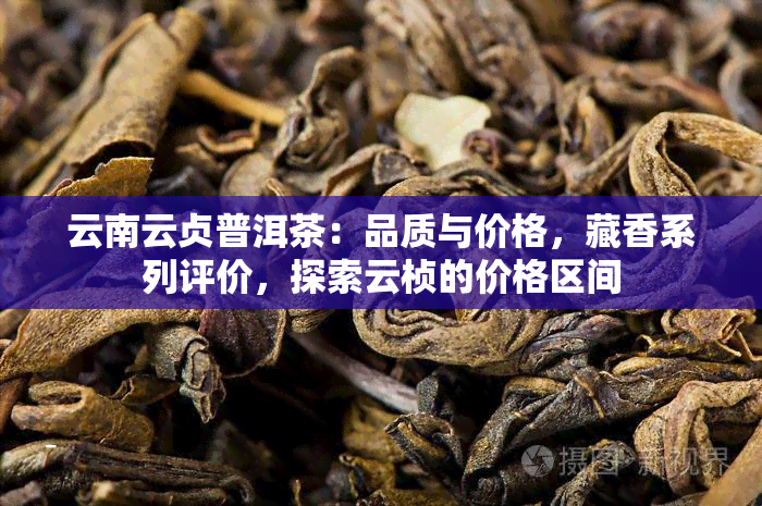 云南云贞普洱茶：品质与价格，藏香系列评价，探索云桢的价格区间