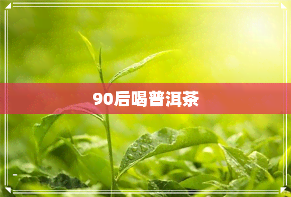 90后喝普洱茶