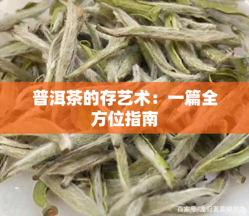 普洱茶的存艺术：一篇全方位指南