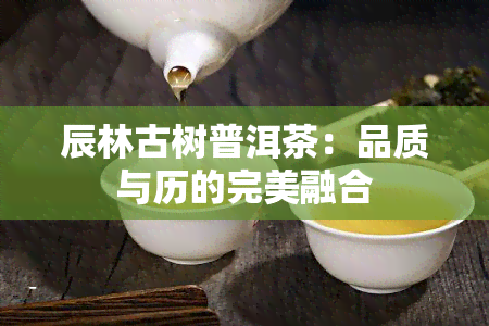 辰林古树普洱茶：品质与历的完美融合