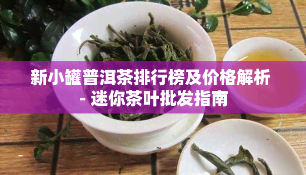 新小罐普洱茶排行榜及价格解析 - 迷你茶叶批发指南