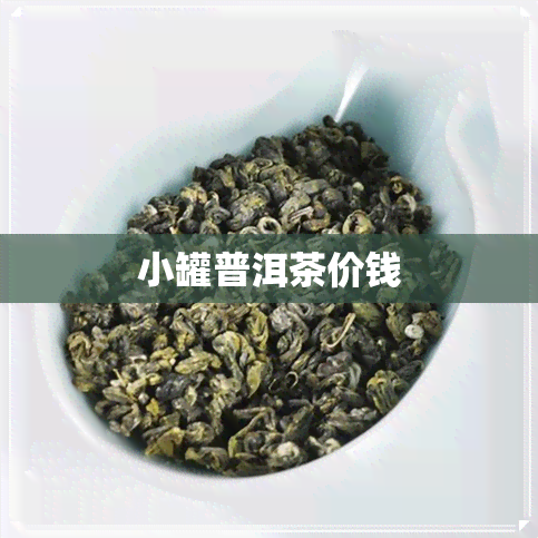 小罐普洱茶价钱