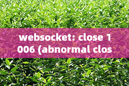 websocket: close 1006 (abnormal closure): unexpected EOF