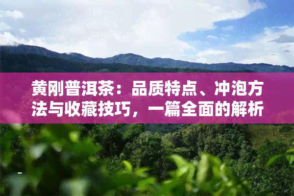 黄刚普洱茶：品质特点、冲泡方法与收藏技巧，一篇全面的解析