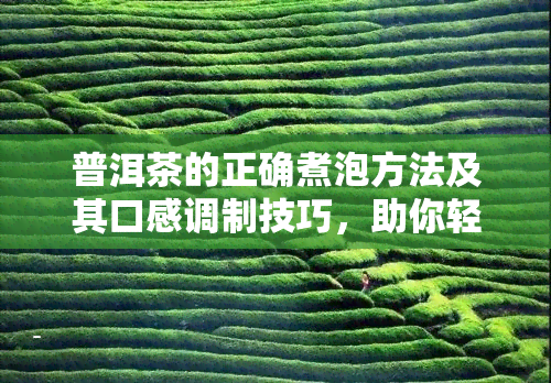 普洱茶的正确煮泡方法及其口感调制技巧，助你轻松品尝到的普洱茶