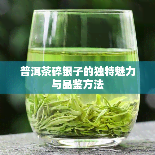 普洱茶碎银子的独特魅力与品鉴方法