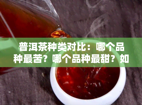 普洱茶种类对比：哪个品种最苦？哪个品种最甜？如何选择适合自己的普洱茶？