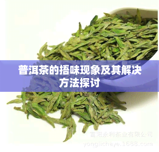 普洱茶的捂味现象及其解决方法探讨