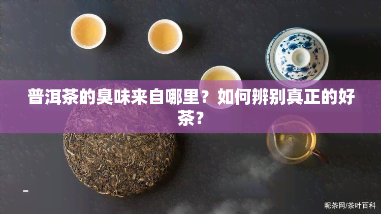 普洱茶的臭味来自哪里？如何辨别真正的好茶？