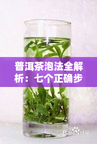 普洱茶泡法全解析：七个正确步骤让你品尝到完美的普洱茶