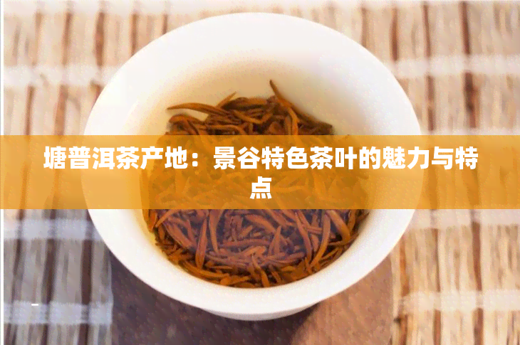 塘普洱茶产地：景谷特色茶叶的魅力与特点