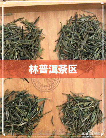 林普洱茶区