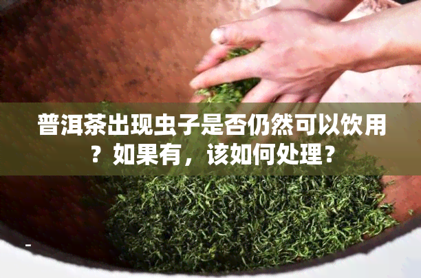 普洱茶出现虫子是否仍然可以饮用？如果有，该如何处理？