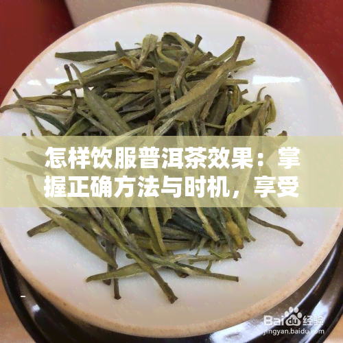 怎样饮服普洱茶效果：掌握正确方法与时机，享受普洱茶的醇厚魅力