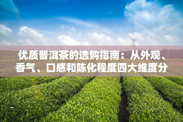 优质普洱茶的选购指南：从外观、香气、口感和陈化程度四大维度分析