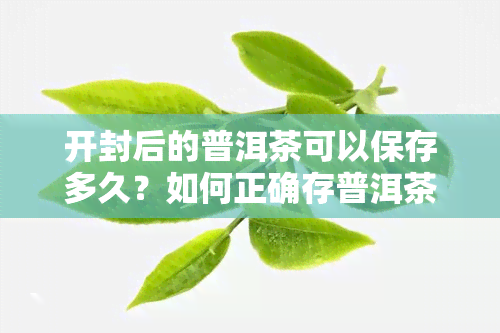 开封后的普洱茶可以保存多久？如何正确存普洱茶以长其保质期？