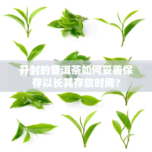 开封的普洱茶如何妥善保存以长其存放时间？