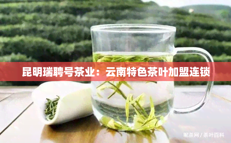 昆明瑞聘号茶业：云南特色茶叶加盟连锁