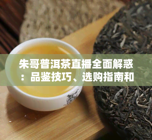 朱哥普洱茶直播全面解惑：品鉴技巧、选购指南和泡茶方法一应俱全