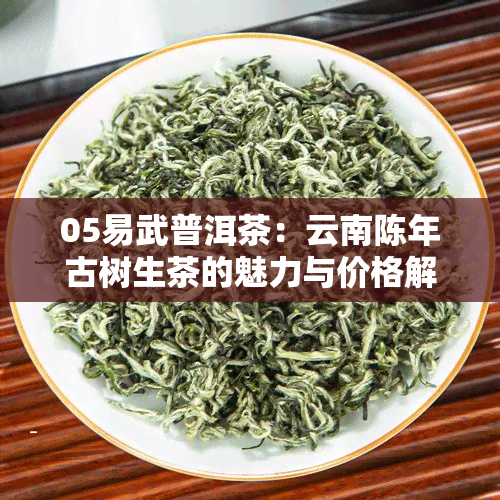 05易武普洱茶：云南陈年古树生茶的魅力与价格解析