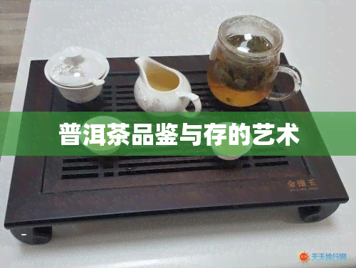 普洱茶品鉴与存的艺术