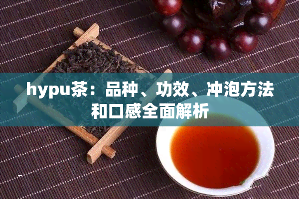 hypu茶：品种、功效、冲泡方法和口感全面解析