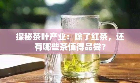 探秘茶叶产业：除了红茶，还有哪些茶值得品尝？