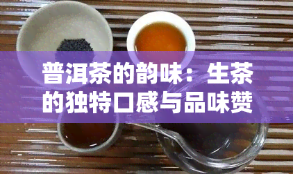 普洱茶的韵味：生茶的独特口感与品味赞美