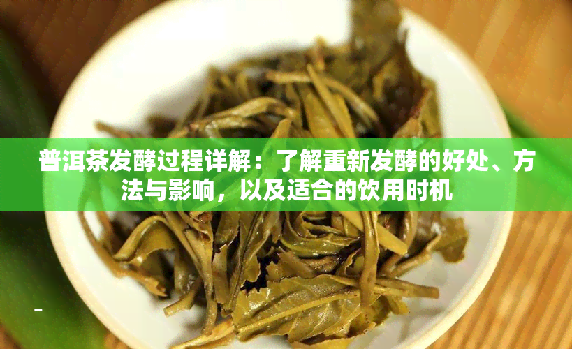 普洱茶发酵过程详解：了解重新发酵的好处、方法与影响，以及适合的饮用时机