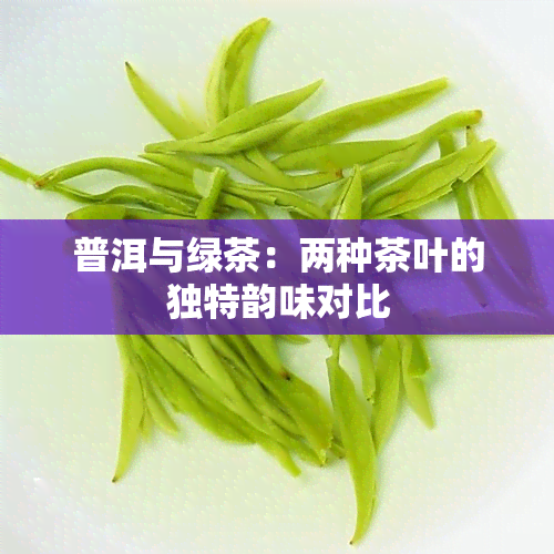 普洱与绿茶：两种茶叶的独特韵味对比