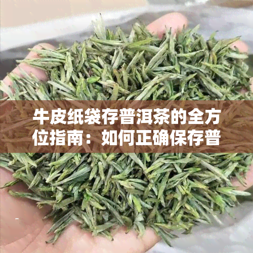 牛皮纸袋存普洱茶的全方位指南：如何正确保存普洱茶以保持其品质和口感