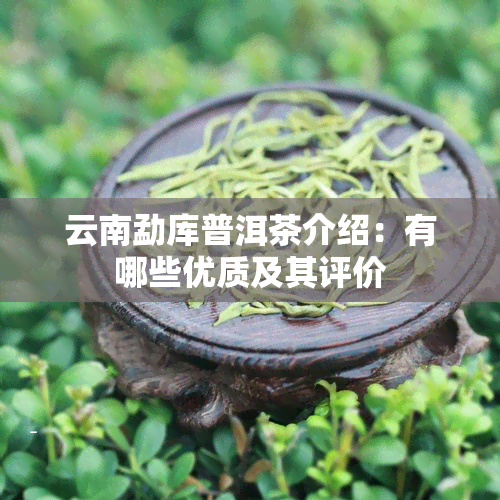 云南勐库普洱茶介绍：有哪些优质及其评价