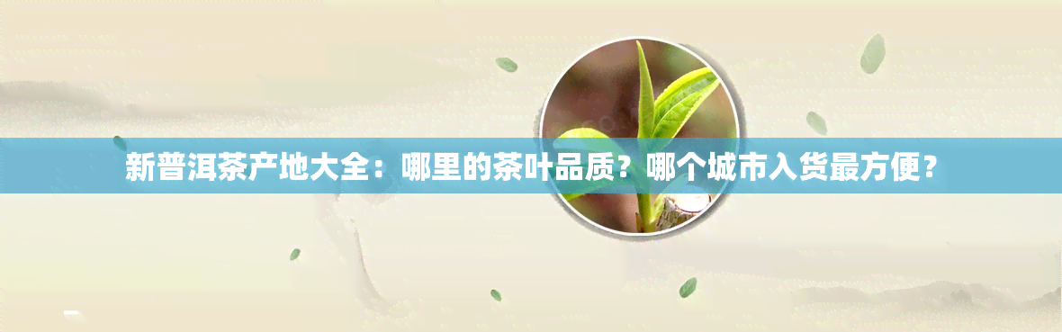 新普洱茶产地大全：哪里的茶叶品质？哪个城市入货最方便？