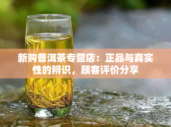 新购普洱茶专营店：正品与真实性的辨识，顾客评价分享