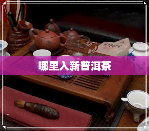 哪里入新普洱茶