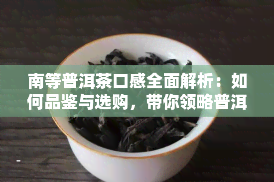 南等普洱茶口感全面解析：如何品鉴与选购，带你领略普洱茶的醇厚与回