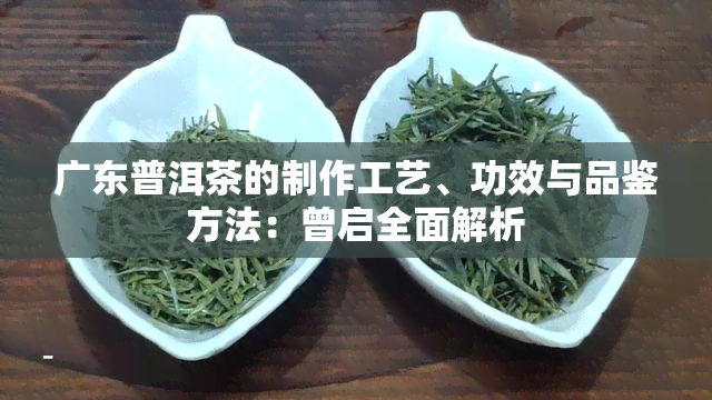 广东普洱茶的制作工艺、功效与品鉴方法：曾启全面解析